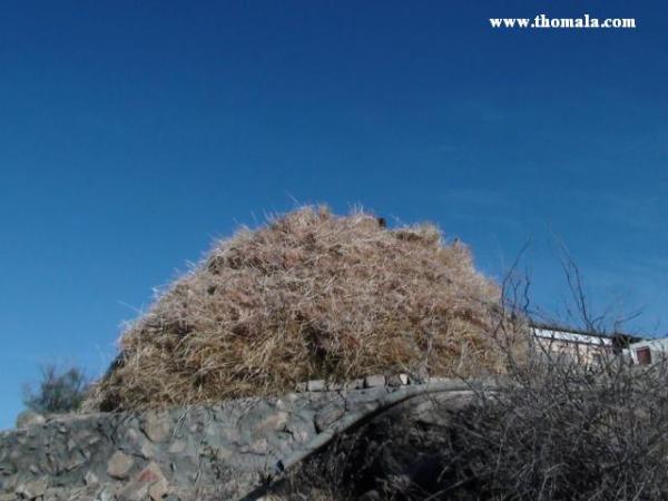 :  DSC00237.jpg
: 290
:  32.9 