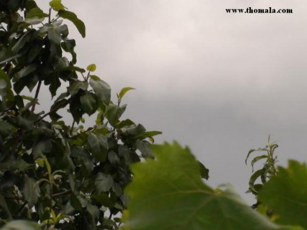 :  DSC00341.jpg
: 551
:  26.8 