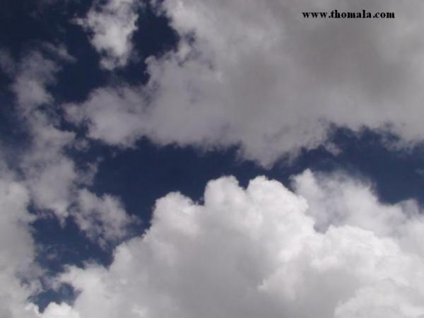 :  DSC00344.jpg
: 507
:  19.9 