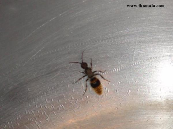 :  DSC00477.jpg
: 914
:  29.8 