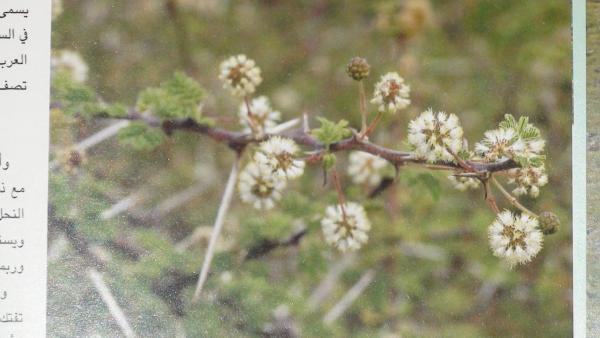 :  DSC00705.jpg
: 689
:  30.8 
