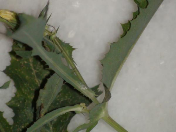 :  DSC00782.jpg
: 356
:  21.4 