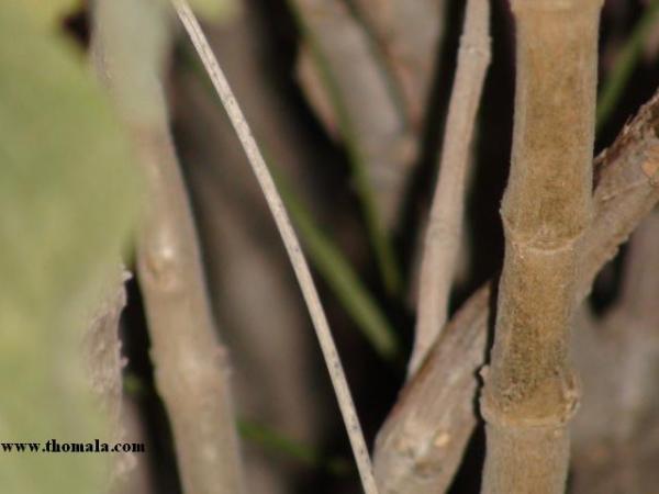 :  DSC00862.jpg
: 799
:  24.7 