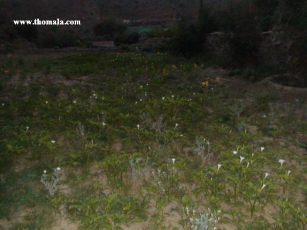 :  DSC00795.jpg
: 308
:  34.7 