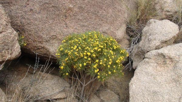 :  DSC01050.jpg
: 317
:  57.2 