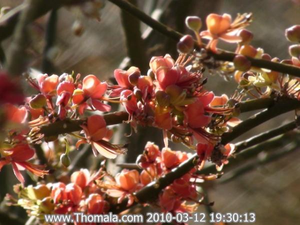 :  DSC01224.jpg
: 1321
:  45.7 