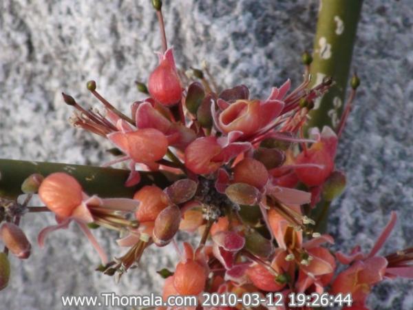 :  DSC01218.jpg
: 1245
:  43.7 
