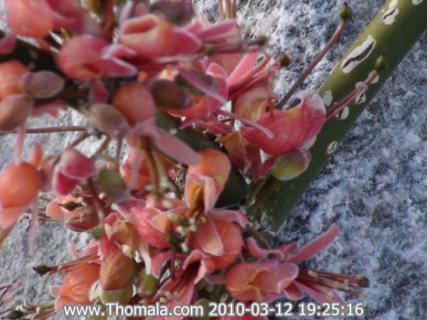 :  DSC01216.jpg
: 1256
:  47.2 