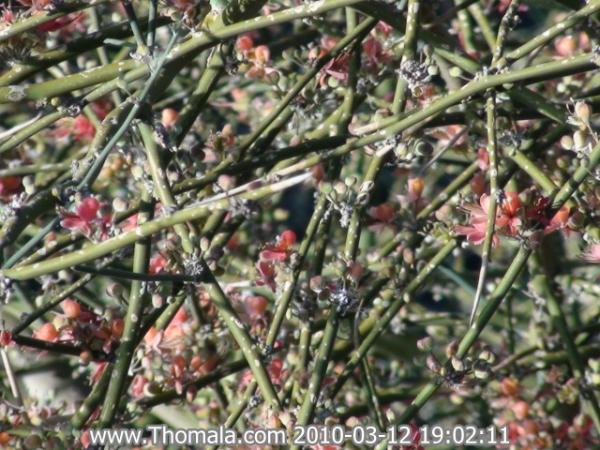:  DSC01205.jpg
: 1198
:  64.9 