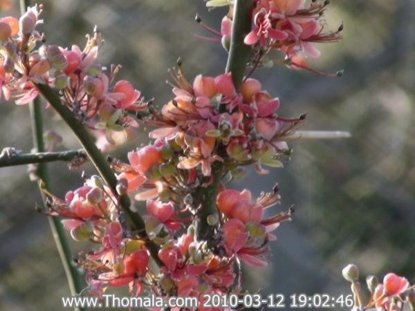 :  DSC01206.jpg
: 1197
:  40.8 