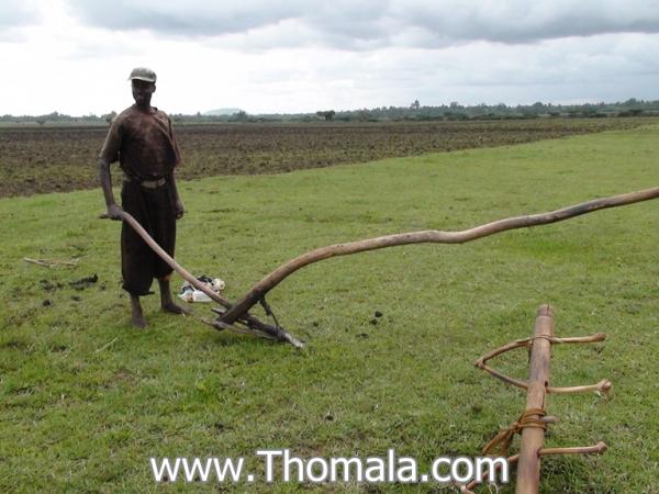 الاسم: DSC01567.jpg
المشاهدات: 1944
الحجم: 46.8 كيلوبايت