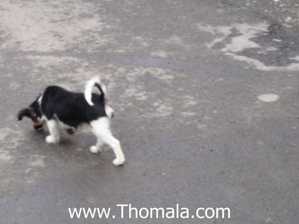 :  DSC01822.jpg
: 1156
:  29.2 