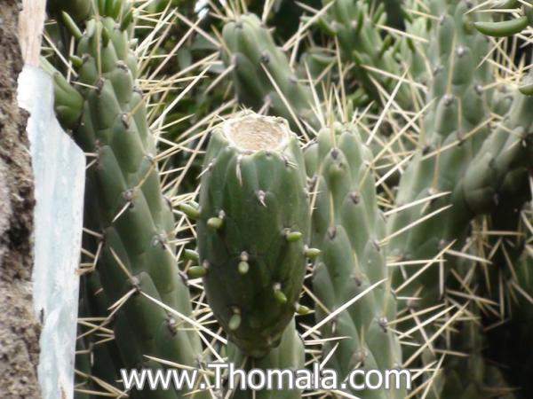 :  DSC01827.jpg
: 479
:  51.5 