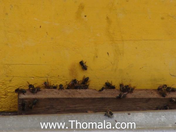 :  DSC01543.jpg
: 143
:  28.5 