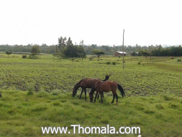 :  DSC01626.jpg
: 182
:  37.1 