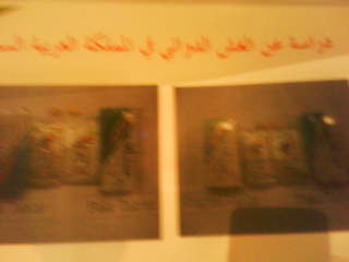 :  DSC00162.JPG
: 260
:  10.0 