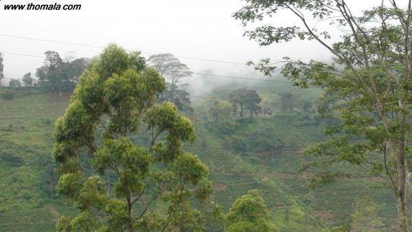 :  DSC02131.jpg
: 198
:  37.9 