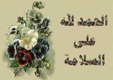 :  images.jpg
: 296
:  7.8 