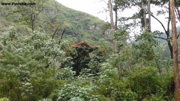 :  DSC02048.jpg
: 75
:  57.8 