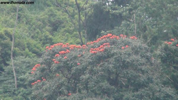 :  DSC02115.jpg
: 73
:  36.1 