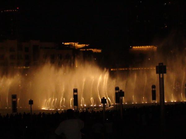:  DSC00218.jpg
: 139
:  19.7 