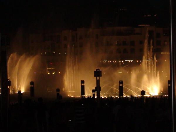 :  DSC00217.jpg
: 237
:  21.1 