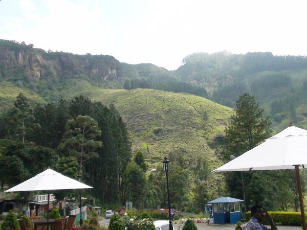 :  DSC00088.jpg
: 109
:  42.4 