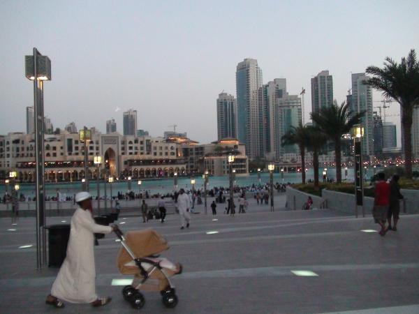 :  DSC00203.jpg
: 128
:  34.0 
