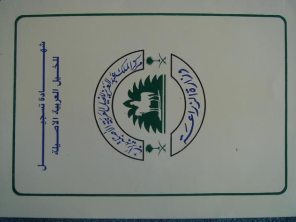 :  DSC04169.jpg
: 771
:  20.6 