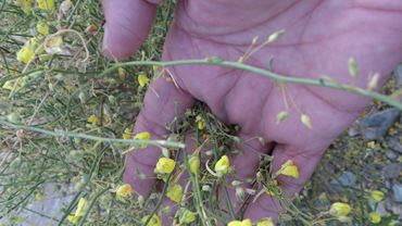 :  m_DSC_0056.jpg
: 2953
:  20.2 