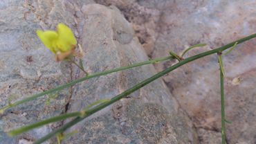:  m_DSC_0074.jpg
: 2530
:  16.4 