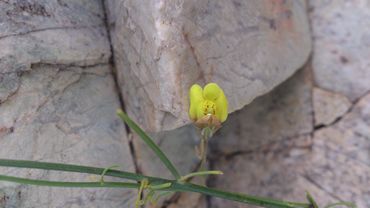 :  m_DSC_0077.jpg
: 635
:  13.3 