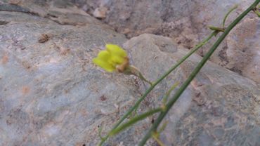 :  m_DSC_0072.jpg
: 566
:  16.4 