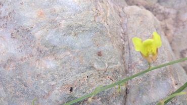:  m_DSC_0073.jpg
: 544
:  16.1 