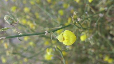 :  m_DSC_0052.jpg
: 1079
:  12.5 