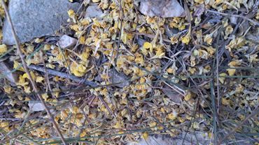 :  m_DSC_0055.jpg
: 889
:  31.5 