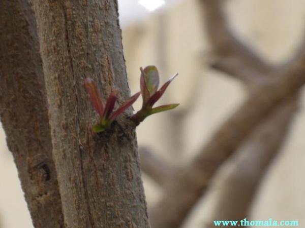 :  DSC00088.jpg
: 817
:  25.6 