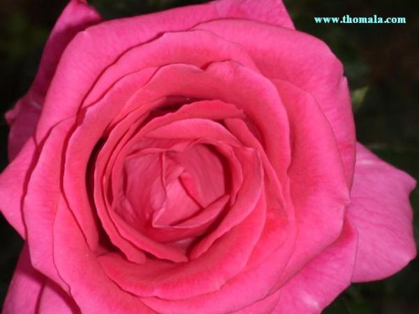 :  DSC00114.jpg
: 490
:  29.4 