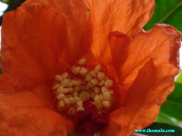 :  DSC00125.jpg
: 281
:  24.6 