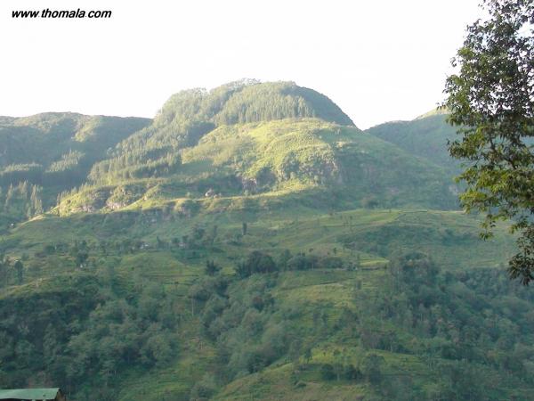 الاسم: DSC02106.jpg
المشاهدات: 690
الحجم: 41.7 كيلوبايت