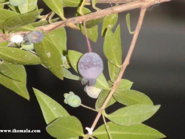 الاسم: DSC00620.jpg
المشاهدات: 24671
الحجم: 31.0 كيلوبايت