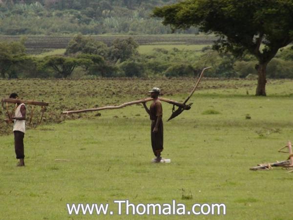 الاسم: DSC01560.jpg
المشاهدات: 1878
الحجم: 40.9 كيلوبايت