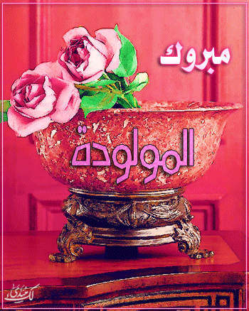 الاسم: 41.jpg
المشاهدات: 427
الحجم: 49.6 كيلوبايت